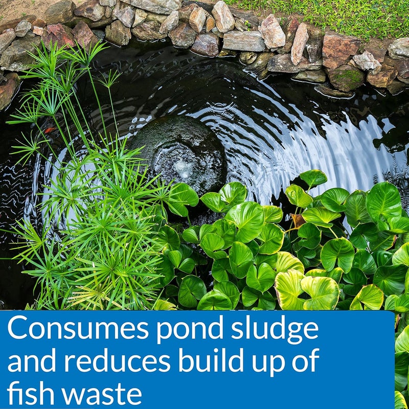 API POND-ZYME SLUDGE DESTROYER Pond Water Cleaner with Barley - 8 Ounce Container - Image 3